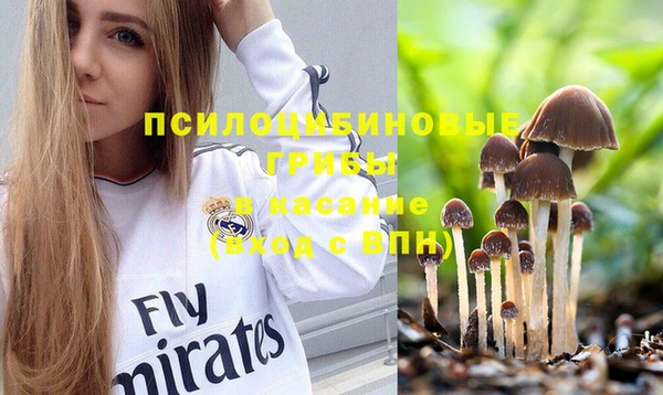 шишки Армянск