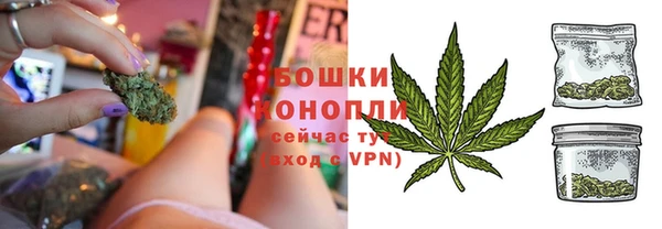шишки Армянск