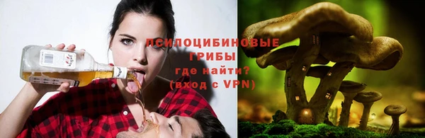 шишки Армянск