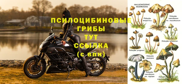 мескалин Арсеньев