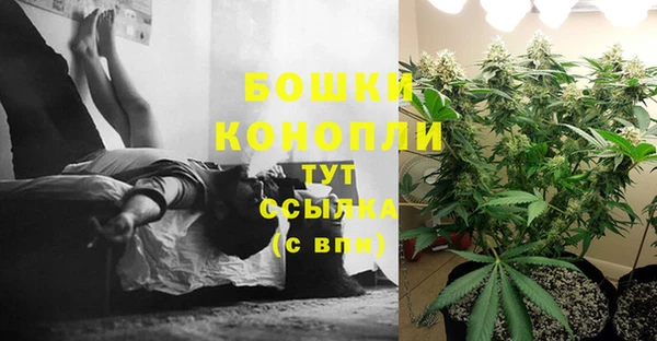 шишки Армянск