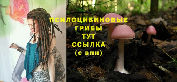 шишки Армянск