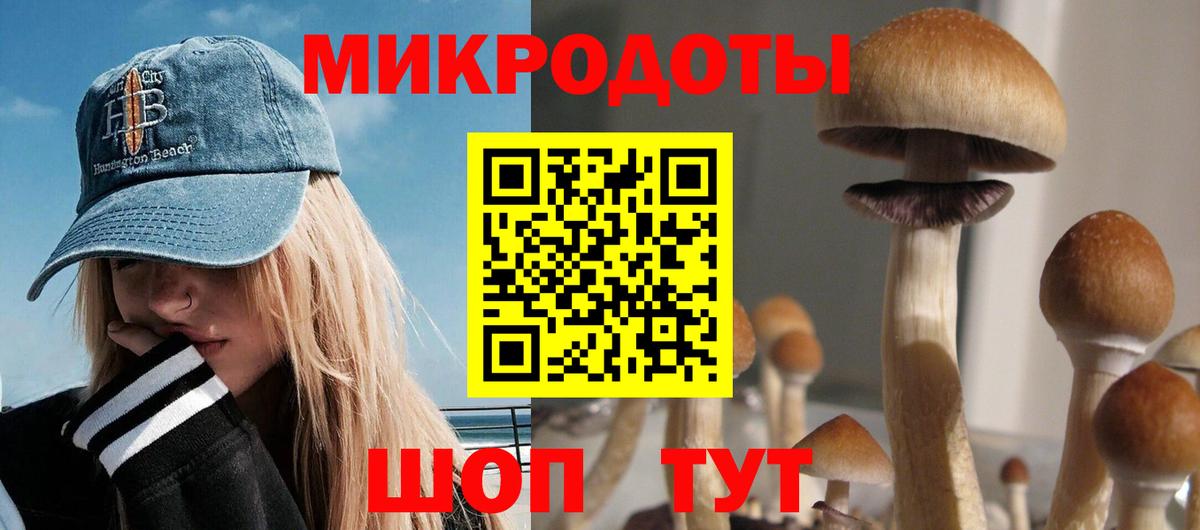Белово  Псилоцибиновые грибы Psilocybe  Галлюциногенные грибы GOLDEN TEACHER  Вход с VPN 